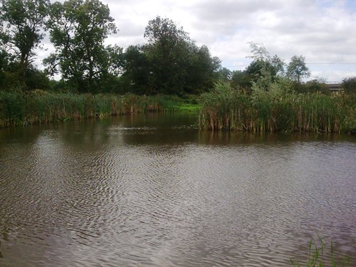 Rothley Lake 1 Rothley Lake 1